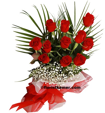 Kemer Florist 11 pc Red Rose 
