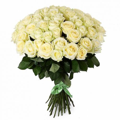  Заказ цветов в Кемер  51 шт. Белая роза класса