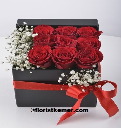 stylish bouquet astoria rose Box 9 pc Red Rose 