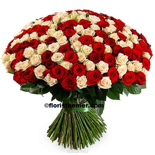  Kemer Flower Order 101 pc White&Red Rose