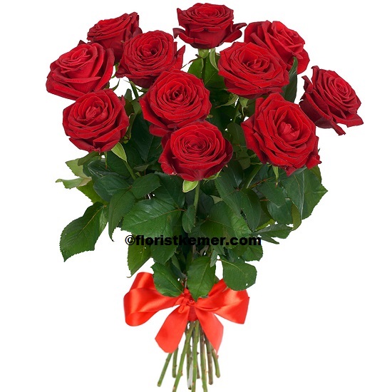 kemer florist 11 Red Rosa 
