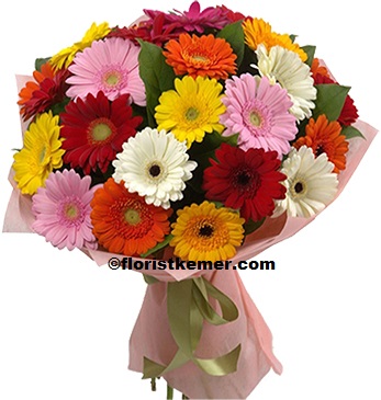  Kemer Florist Mix Gerbera Bouquet