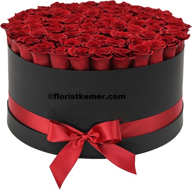 15pc gerbera bouquet Box 81 pc Red Rose 