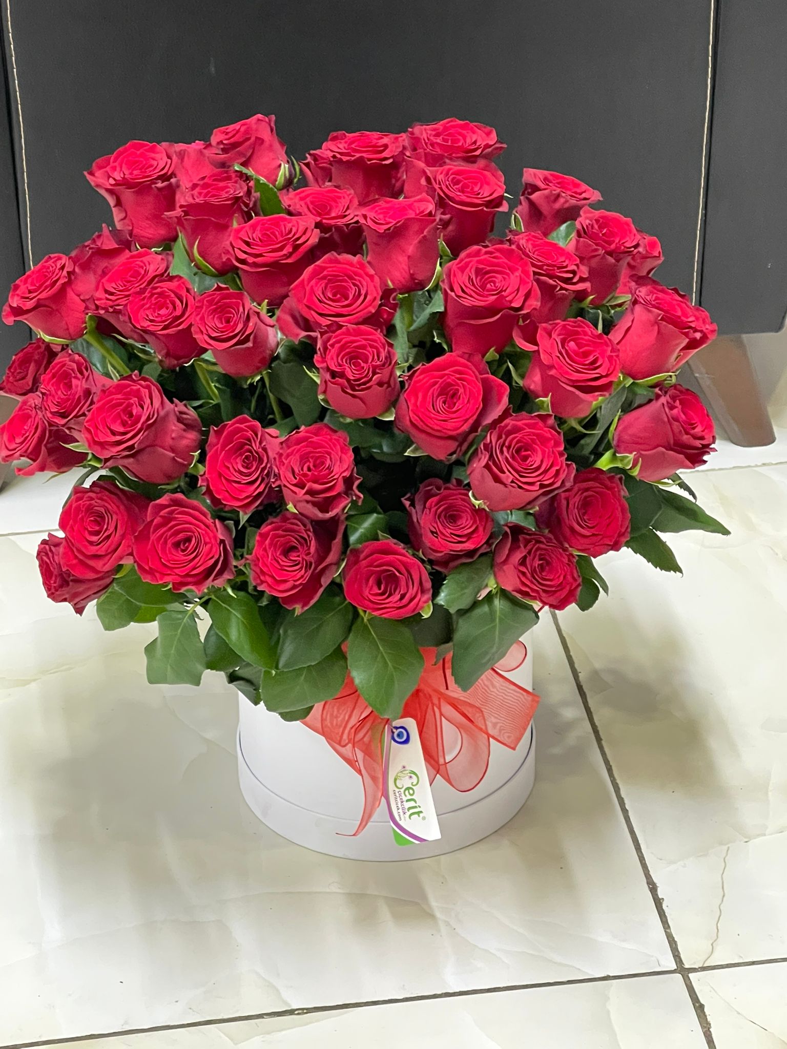  Заказ цветов в Кемер  Красные розы 51 шт. в белой коробке