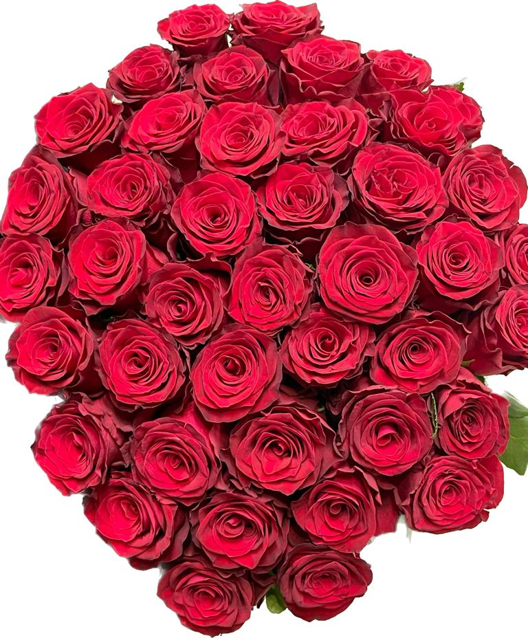  Цветок в Кемер  41 красная роза 1 сорт