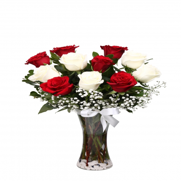 151 pc red rose vase 11 Pcs Roses White Red in Vase 