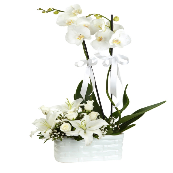  Заказ цветов в Кемер  Композиция из орхидей и лилий в керамической вазе