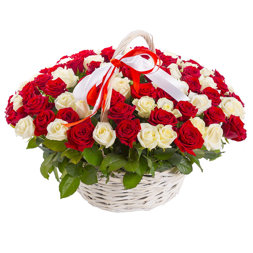  Kemer Çiçek Gönder Sepette 101 Adet Beyaz Kırmızı Gül