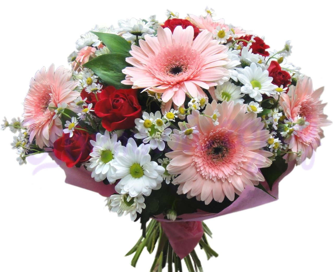 Kemer Florist Pink Gerbera   Red Rose Chrysanthemum Bouquet