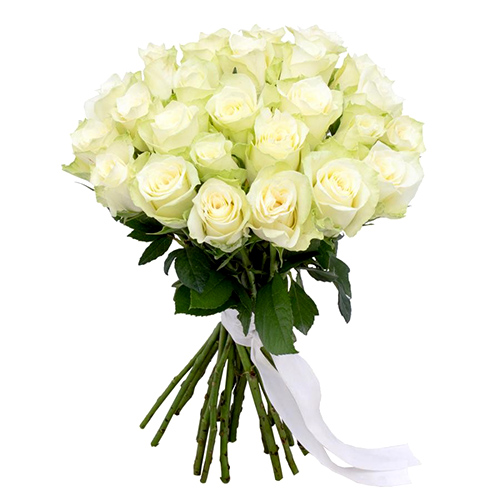  Kemer Flower Order 25 Pieces of White Roses Boquet