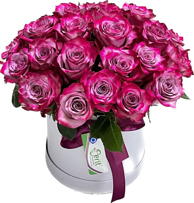 Кемер флорист Коробка розовая Роза 25шт 