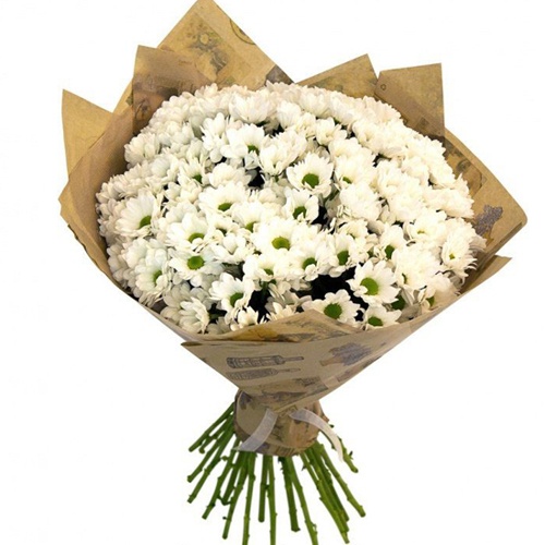  Kemer Flower Delivery White Chrysanthemum  Bouquet