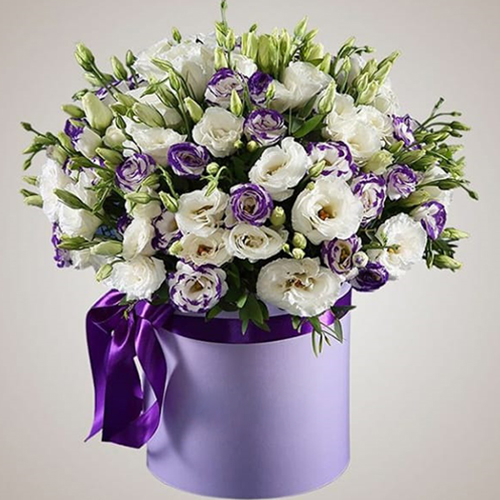  Заказ цветов в Кемер  Фиолетово-белая сиреневая композиция в сиреневой коробке