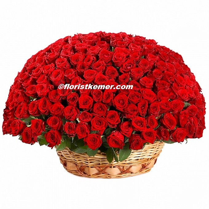 Kemer Florist 251 Red Roses Basket