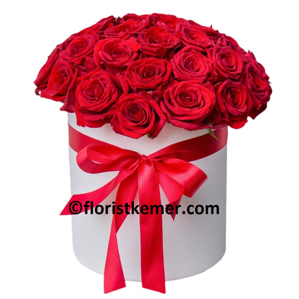 kemer florist White Box 25pc Red Rose 