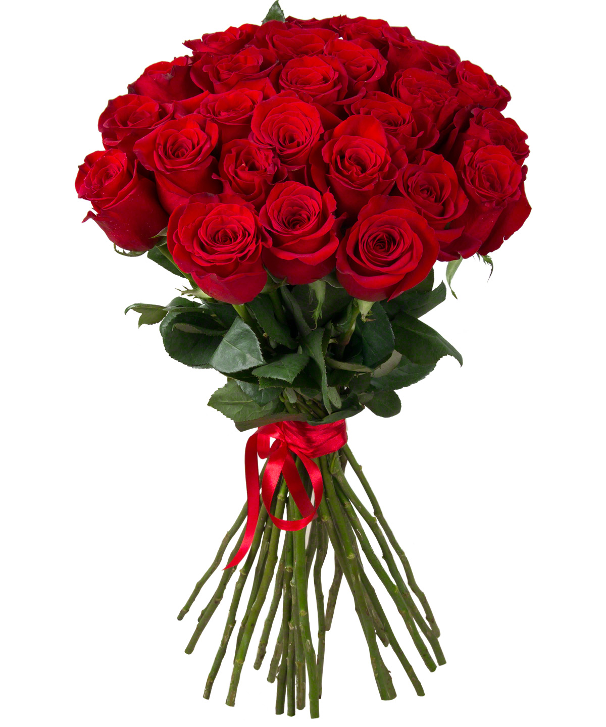  Kemer Florist 25 Pieces  Simple Red Rose Bouquet